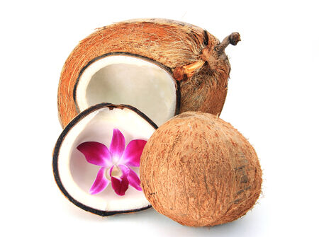 Coconutの写真素材