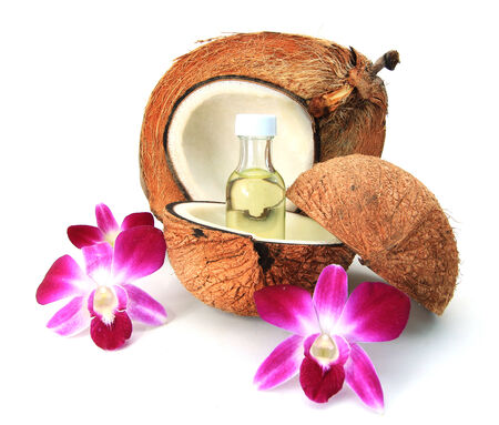 Coconutの写真素材