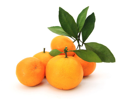 orangeの写真素材