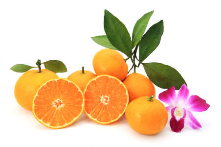 orangeの写真素材