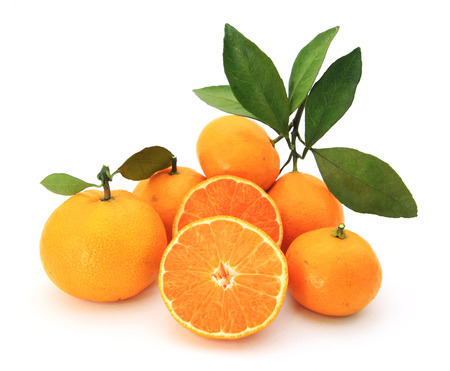 orangeの写真素材