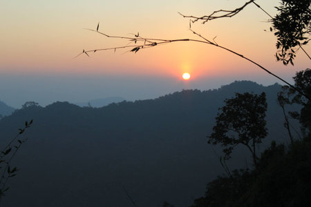 Morning sunrise Time in forestの写真素材