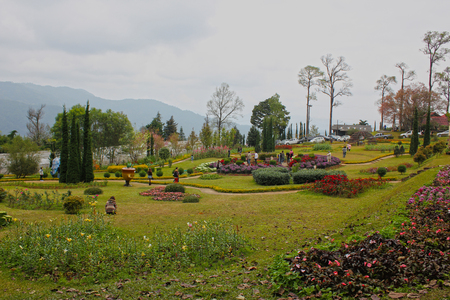 Spring cherry blossom at Khun wang National Park in Thailandの写真素材
