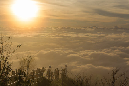 Sea Mist Phu Tub berk.Feeling the cold in the tallest mountain Phetchabun province in Thailand.