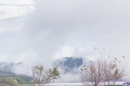 Sea mist Phu Tub Berk Phetchabun Province in Thailand.の写真素材