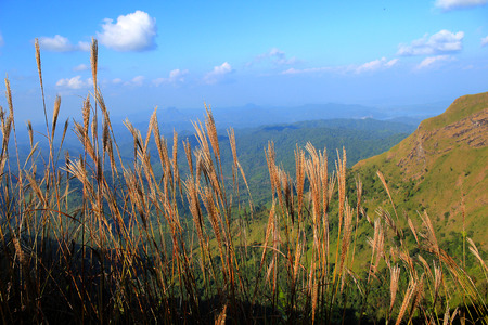 Elephant mountain Thong Pha Phum district Kanchanaburi Province in Thailand.の写真素材