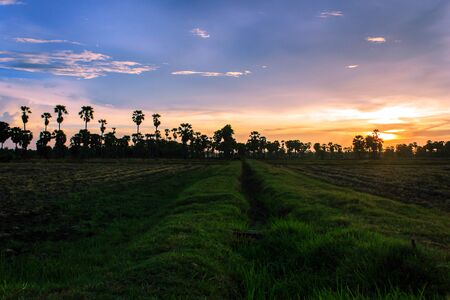 Watch the sunset at Phetchaburi Province in Thailand.の写真素材