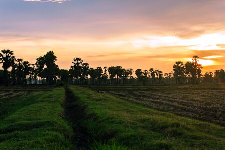Watch the sunset at Phetchaburi Province in Thailand.の写真素材