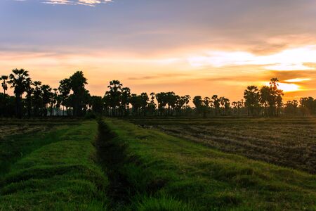 Watch the sunset at Phetchaburi Province in Thailand.の写真素材