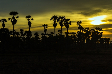 Watch the sunset at Phetchaburi Province in Thailand.の写真素材