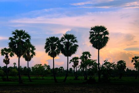 Watch the sunset at Phetchaburi Province in Thailand.の写真素材