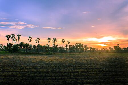 Watch the sunset at Phetchaburi Province in Thailand.の写真素材