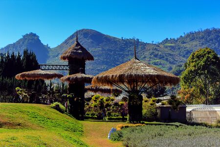 Ang Khang Royal Agricultural Station The station's first research projects. A stunning natural beauty Located in Fang, Chiang Mai, Mae Ngon Thailand.の写真素材