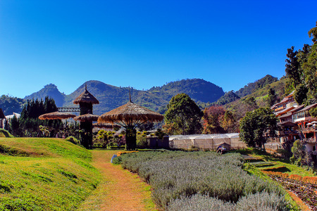 Ang Khang Royal Agricultural Station The station's first research projects. A stunning natural beauty Located in Fang, Chiang Mai, Mae Ngon Thailand.の写真素材
