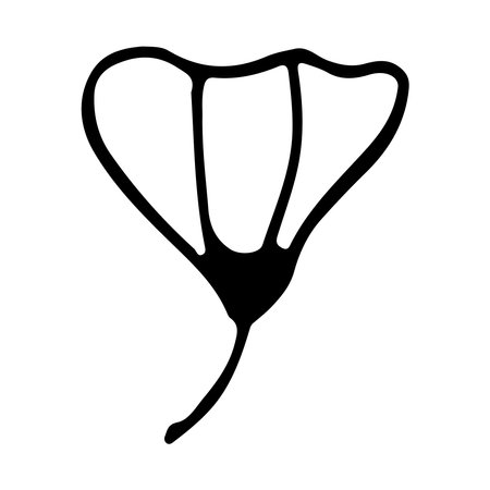 hand drawn sketch flower isolated on white backgroundのイラスト素材