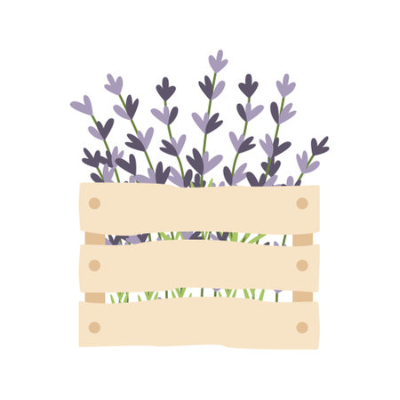 Wooden box with hand drawn lavender flowers. vector illustration. simple flat style.のイラスト素材