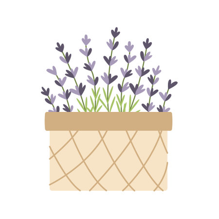 Wicker basket with hand drawn lavender flowers. vector illustration. simple flat style.のイラスト素材