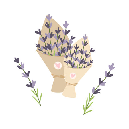 Bouquets of hand drawn lavender flowers. vector illustration. simple flat style.のイラスト素材