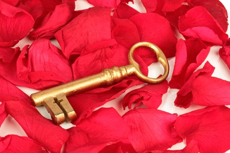 The golden key to success on rose petals の写真素材