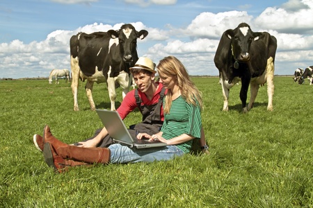 Young couple with laptop between the cows in the countryside from the Netherlandsの写真素材