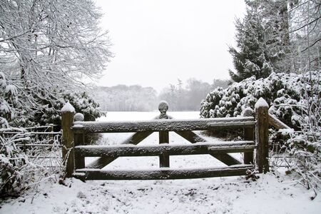 Winter in the Netherlandsの写真素材