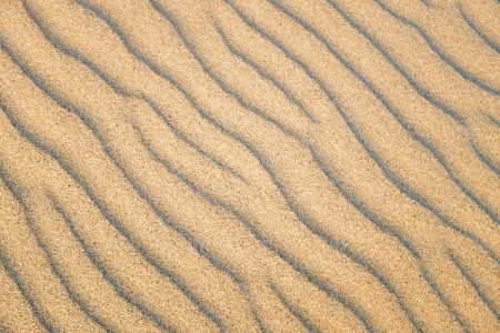 Ripple pattern in sandの写真素材