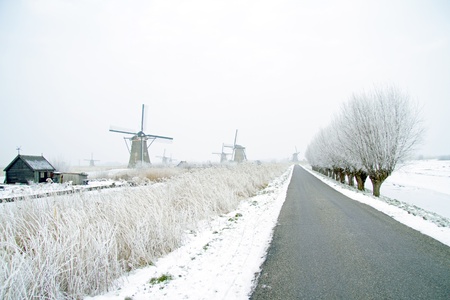 Traditonal windmills in the countryside from the Netherlandsの写真素材