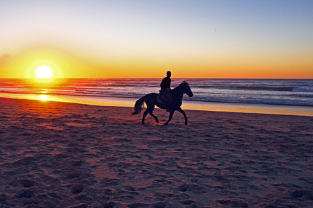 Horse riding on the beach at sunsetの写真素材
