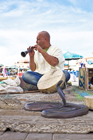 MARRAKESH, MOROCCO - OCTOBER 23 2013: Snake charmer cobra dancing at famous Marrakesh square Djemaa el Fna on October 23, 2013 in Marrakesh, Moroccoのeditorial素材