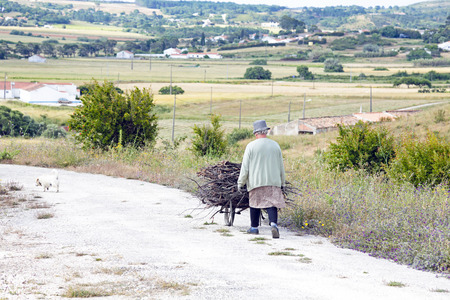 ALFAMBRAS, PORTUGAL - MAY 25, 2014: Gathering firewood for making fire in an old fashioned way in Portugalのeditorial素材