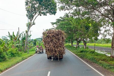 Driving in the countryside from Java in Indonesia transporting grassの写真素材
