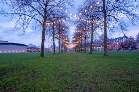 Christmas decoration at the Museumplein in Amsterdam the Neetherlands at twilightのeditorial素材