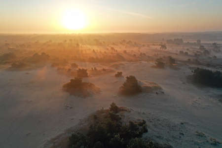 Aerial from sunrise in the forest from Friesland in the Netherlandsの写真素材