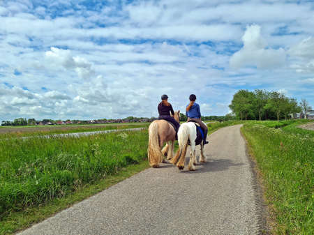 Horse riding in the countryside from the Netherlands on a beautiful summer dayの写真素材