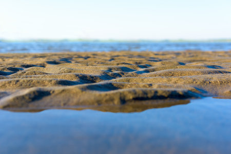 dunes of sand