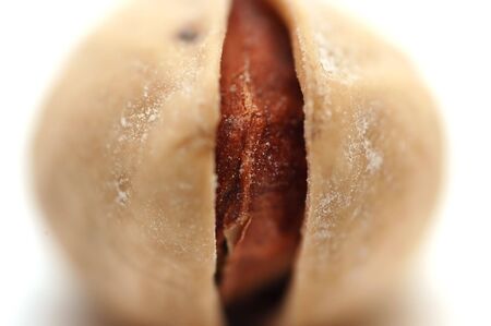 One pistachio isolated on white backgroundの写真素材