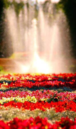 Fountain in flowers parkの写真素材