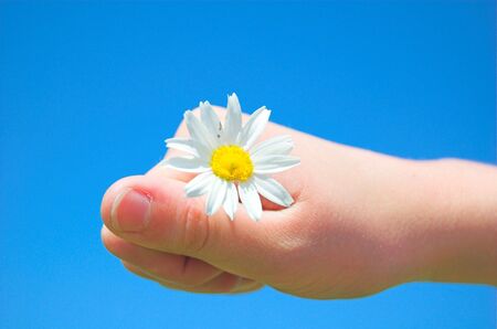 Spring flower in child's handの写真素材