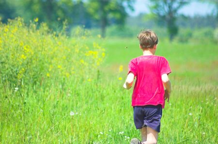 Spring timeの写真素材