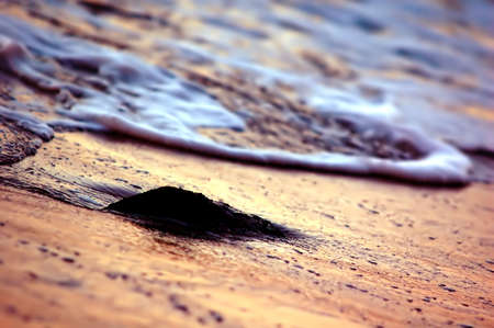 Beautiful ocean in gold sunshineの写真素材