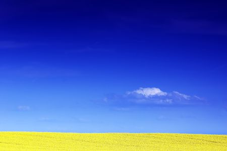 Perfect natural, beautiful meadow in springの写真素材