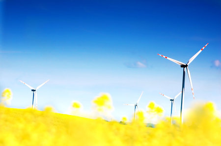 Wind turbines. Energy. Beautiful meadow