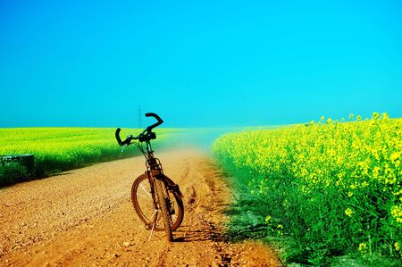 Bicycle at sunny, summer day at field. Copyspace aboveの写真素材