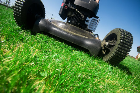 The lawn mower. Gardening series