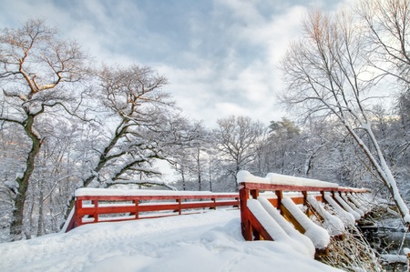 Winter forest sunset, lots of snowの写真素材