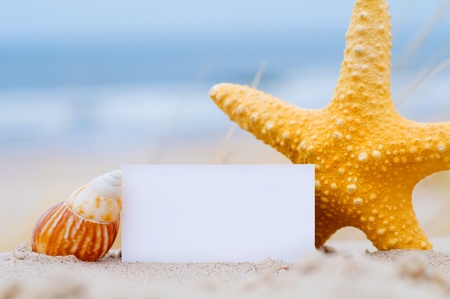 Blank white card for your message with a starfish and shell on summer beachの写真素材