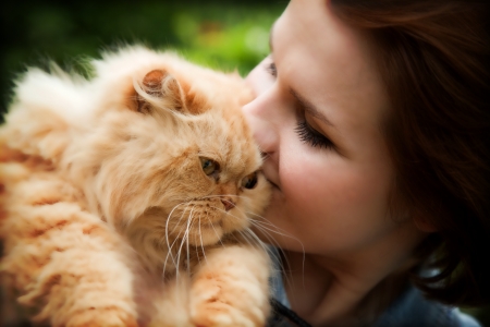Young woman with Persian cat playing. Outdoors portraitの写真素材
