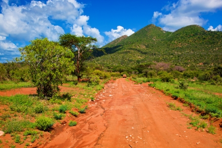Red ground road and bush with savanna landscape in Africa. Tsavo West, Kenya.の写真素材