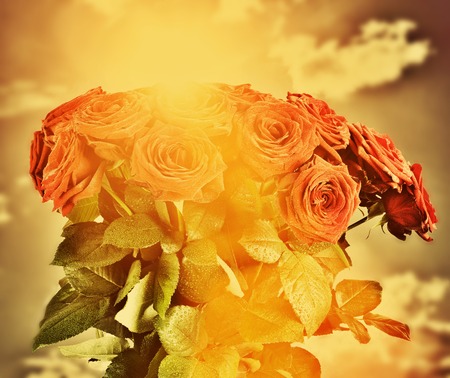 Red wet roses flowers bouquet on sky background. Vintage, retro, grunge style. Great as greeting card for Valentines day, Mothers day, wedding anniversary celebrations etc.の写真素材