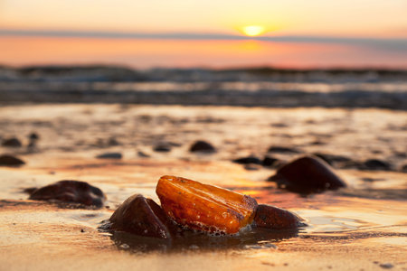 Amber stone on the beach at sunset. Precious gem, treasure concept. Baltic Sea, Poland.
